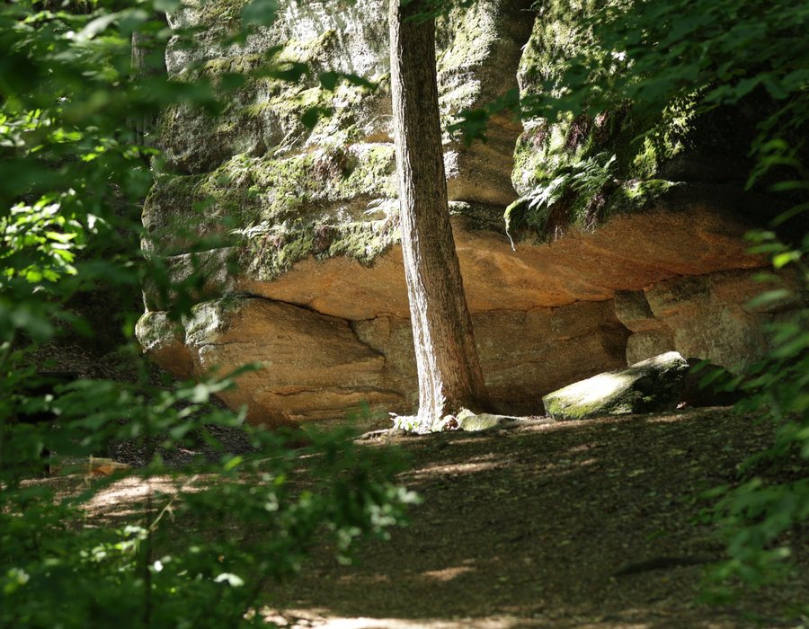 Outdoor setting for a personal session.